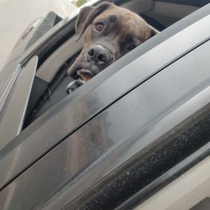 Meet your Posher, Sherry